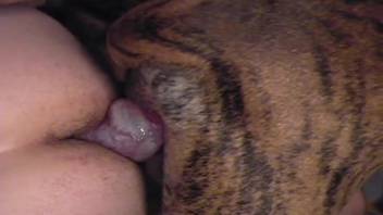 Guy with furry butt takes massive dong length for intense anal pounding