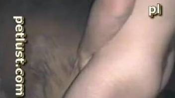 Man horse
