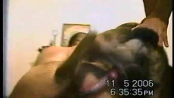 Unique footage of homemade bestiality videos starring a lustful homosexual guy