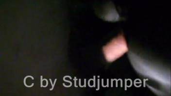 Aroused novice guy intends to deeply penetrate the horse and ejaculate inside it