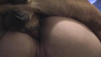 Orgasm