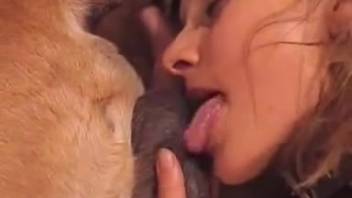 Submissive female being penetrated by a canine before licking its rear