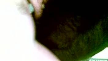 Guy intensely penetrates his fluffy beast in a wild mashup