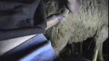 Guy pounds the plush beast in the rear and climaxes intensely