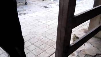 Ass penetrates his lady while the excited guy films the whole thing