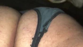 Guy in stockings being anally screwed by a canine