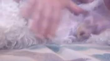 Older woman tongues her dog's rear end and then vigorously sucks its penis