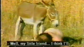 Collection of novice whores having rough sex with animals