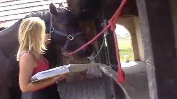 horse cum